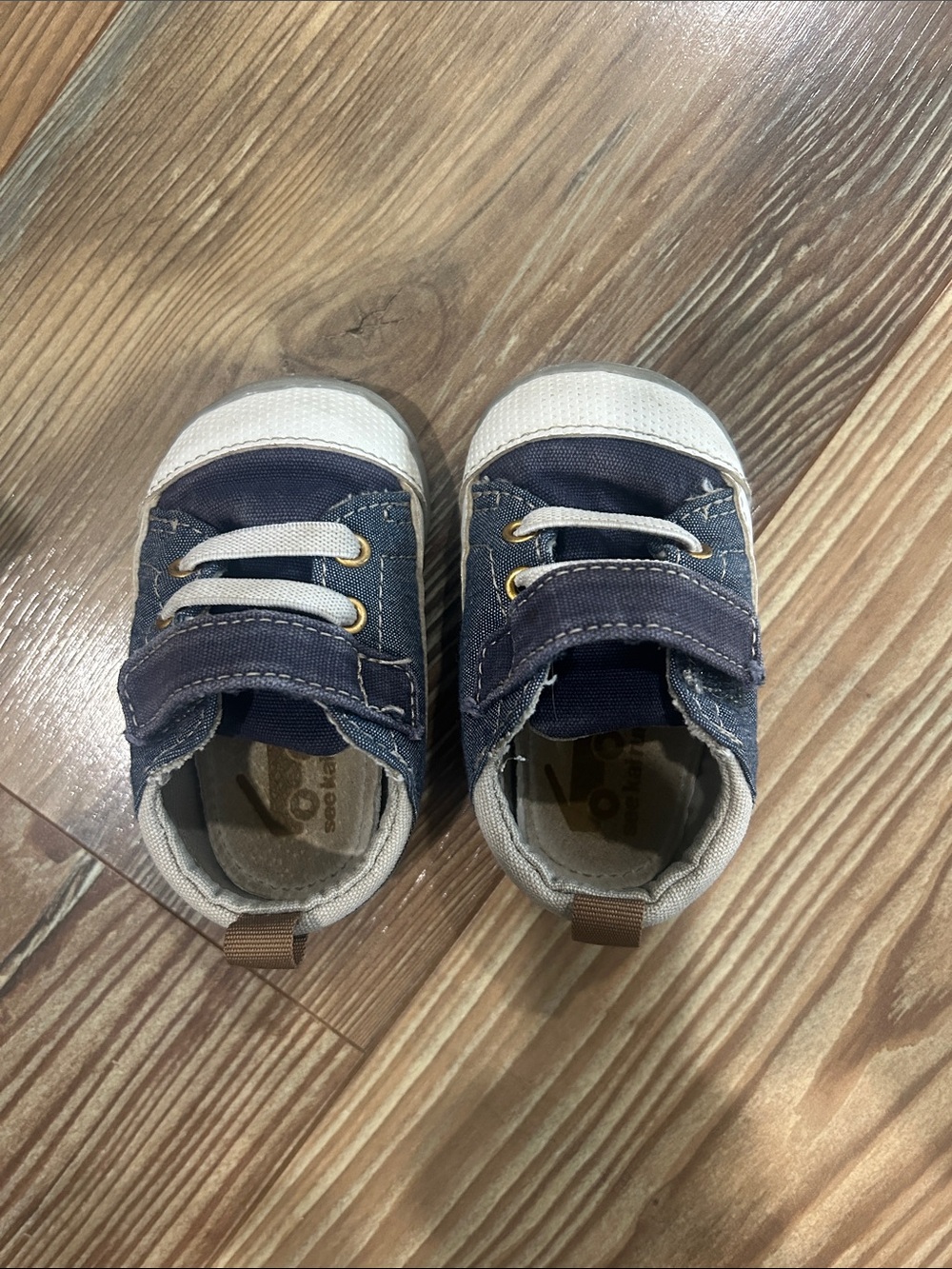 Toddler Navy Canvas Sneakers with Hook-and-Loop Strap
